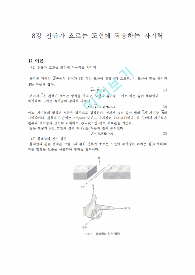 [물리학실험 레포트 보고서] 도선의 자기력.hwp